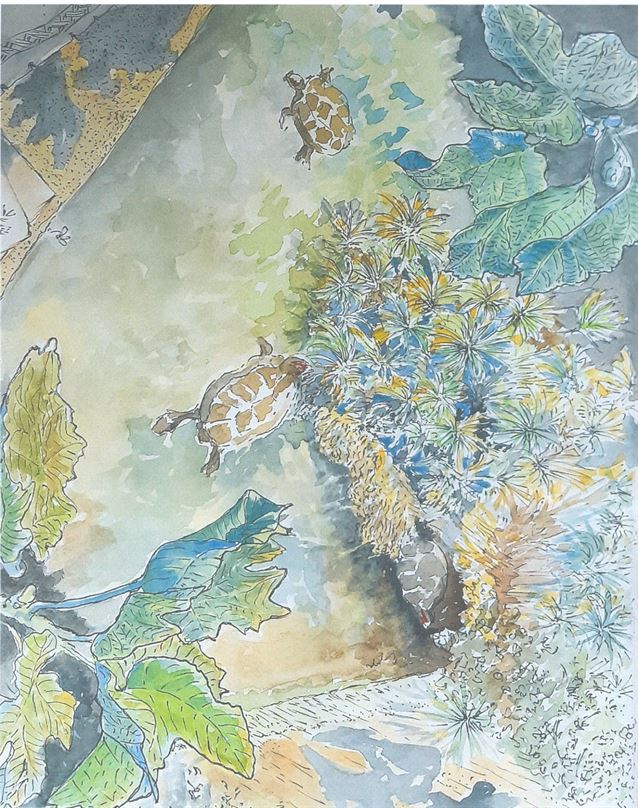ATLANTE ACQUA - SETTIMA SERIE - MARIA CALO